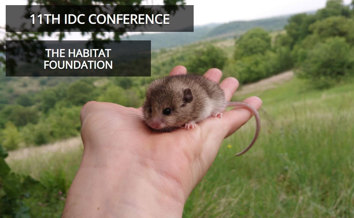 11-я Международная Конференция по соням также перенесена