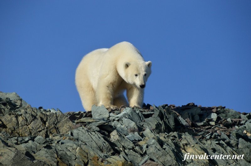 Первый месяц работы