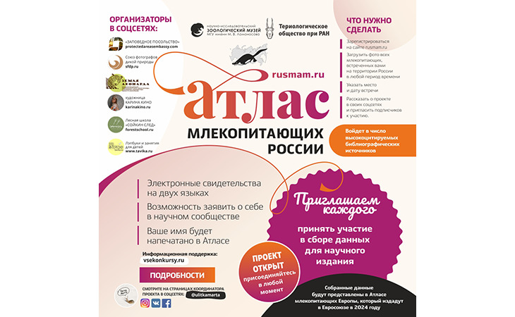 Наш проект поддерживают пользователи соцсетей