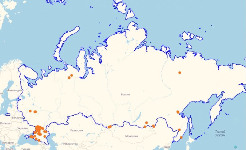 Портал начал работу