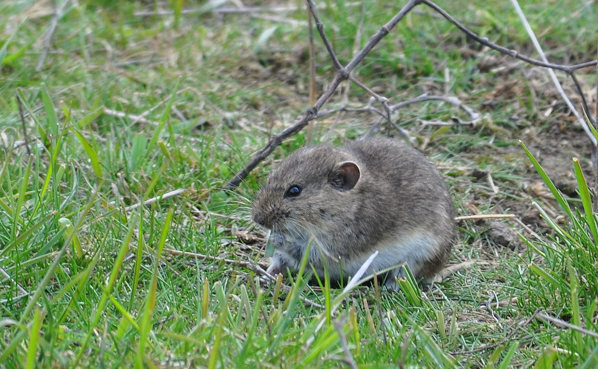 На портале прошла модерацию 200000-ая запись