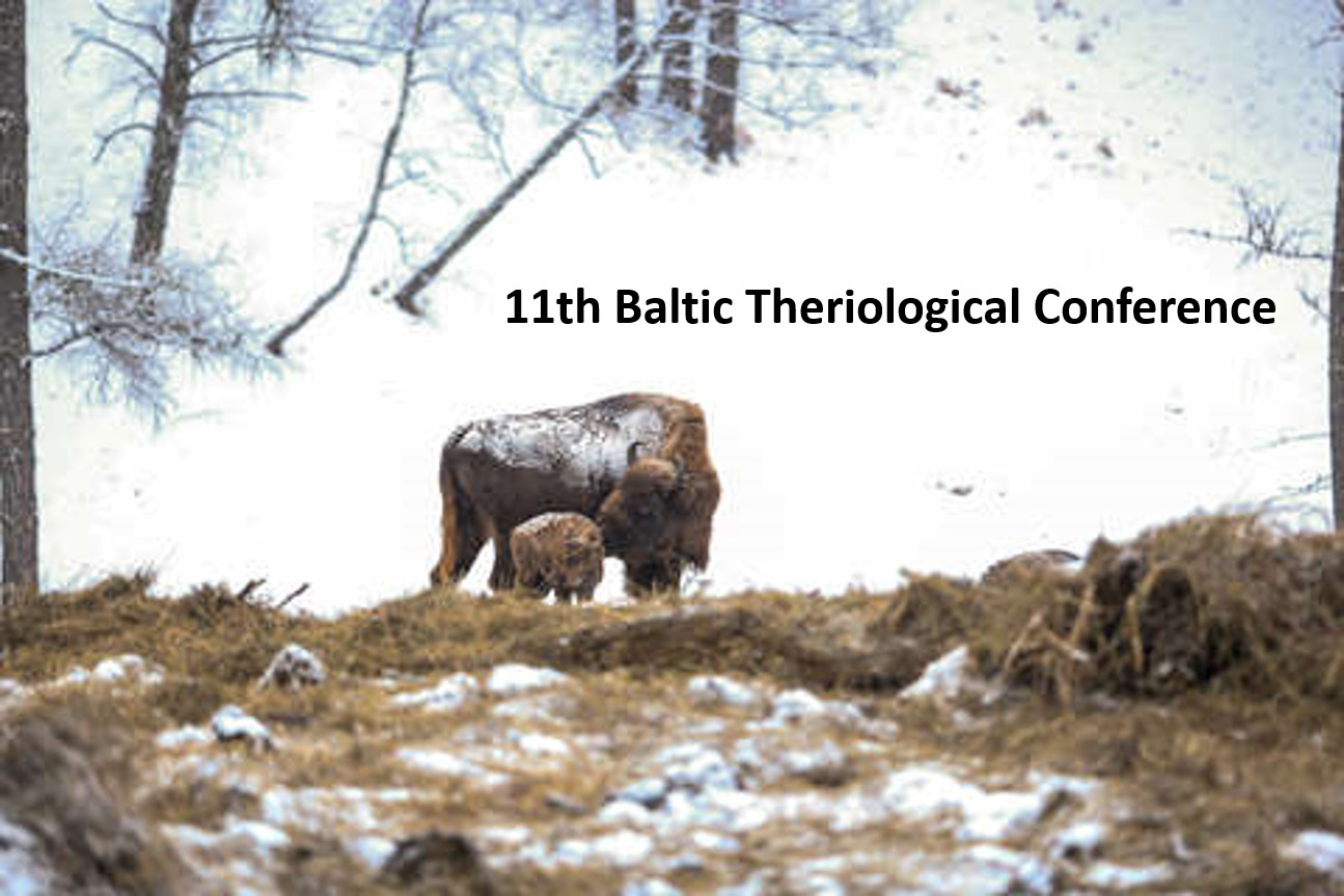 11-я Балтийская Териологическая Конференция перенесена на январь 2021 и будет проходить в онлайн-формате