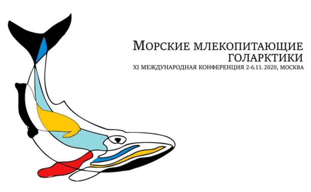 Лаптевский морж. Ворвань в таможенном праве. Лаптевский морж. Морж лаптевский подвид. Голубой кит.