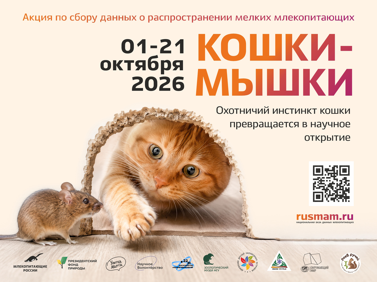 Начинается осенний сезон акции «Кошки-мышки»