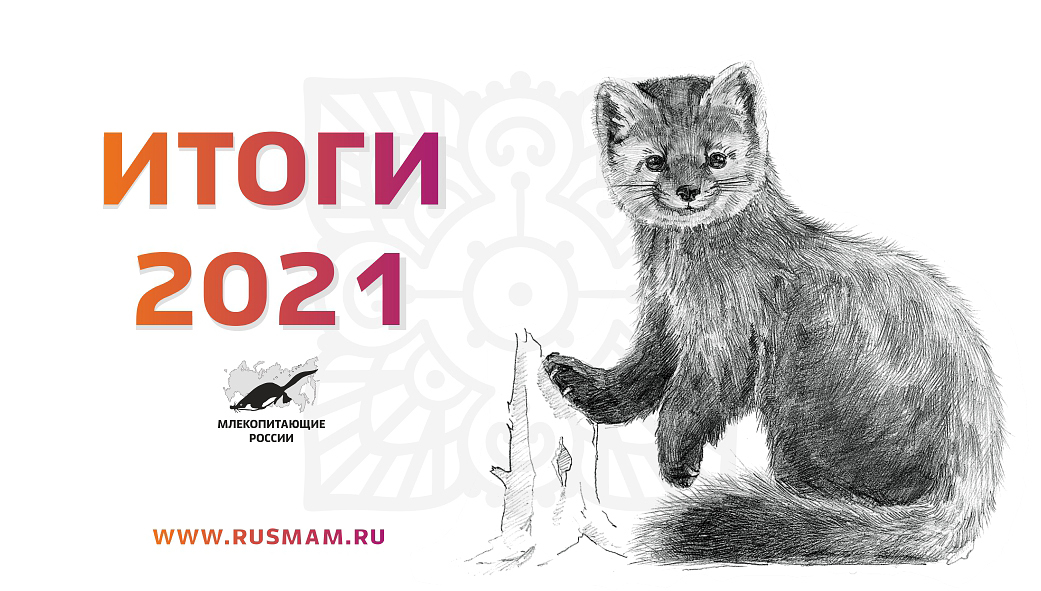 "Млекопитающие России" итоги 2021